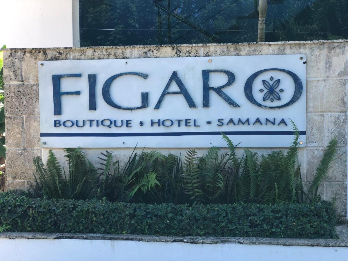 Figaro Hotel Samana ภายนอก รูปภาพ